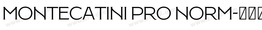 Montecatini Pro Norm字体转换